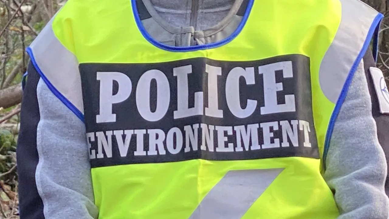 En Essonne, la police environnementale lutte contre les dépôts sauvages