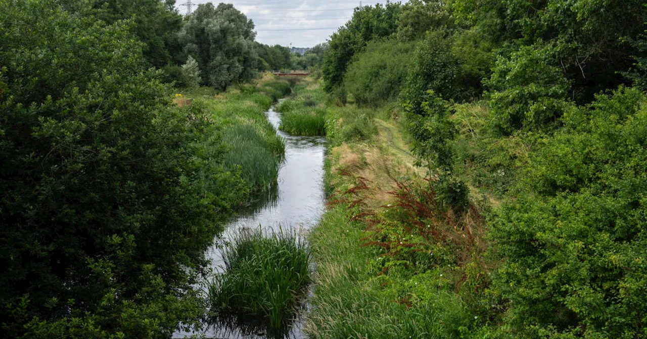 Des pesticides utilisés en Europe sont aussi des « polluants éternels », alertent deux ONG