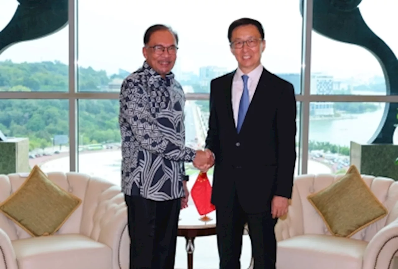 PM Anwar hopes China will join forces to resolve Palestinian-Israeli conflict