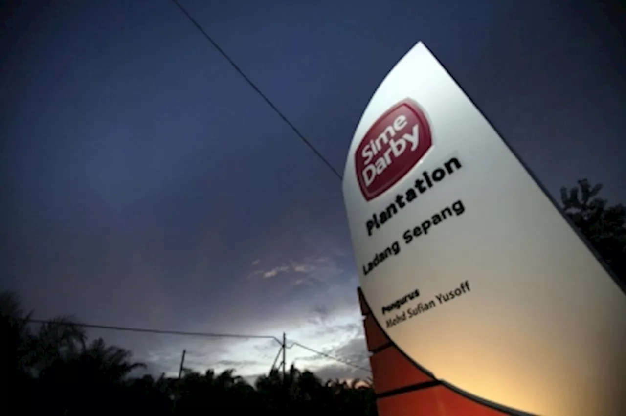Sime Darby to progressively shift focus to India, China markets, says group MD