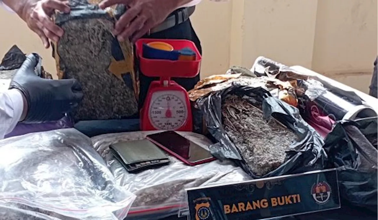 Polisi Sita 100 Kg Lebih Sabu dan Ganja dalam Tiga Bulan di Sumut