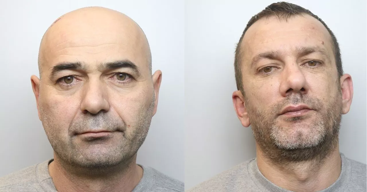 Two Men Jailed for Running Huge Cannabis Farm in Warehouse