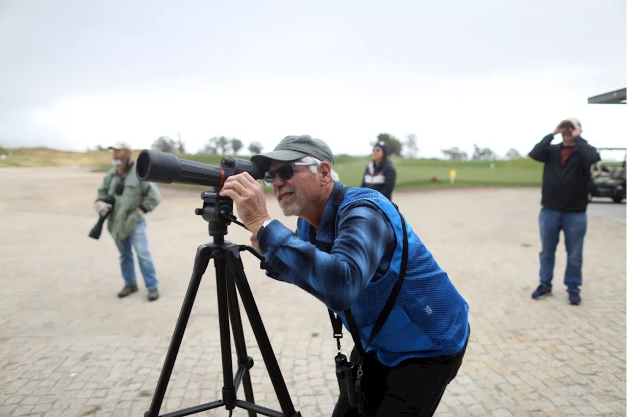 The story of Big Junior and other wonders at 5 Bay Area birding sites