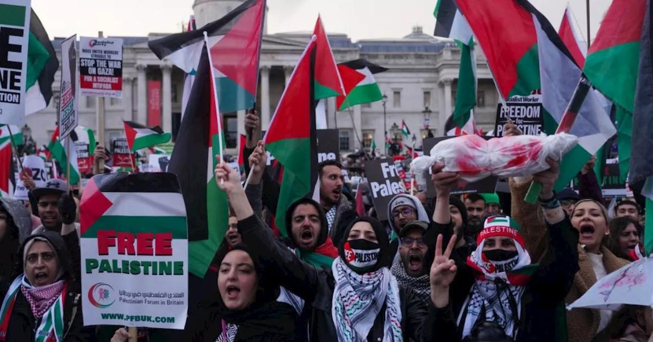 Remembrance Day Cenotaph organiser supports pro-Palestine march