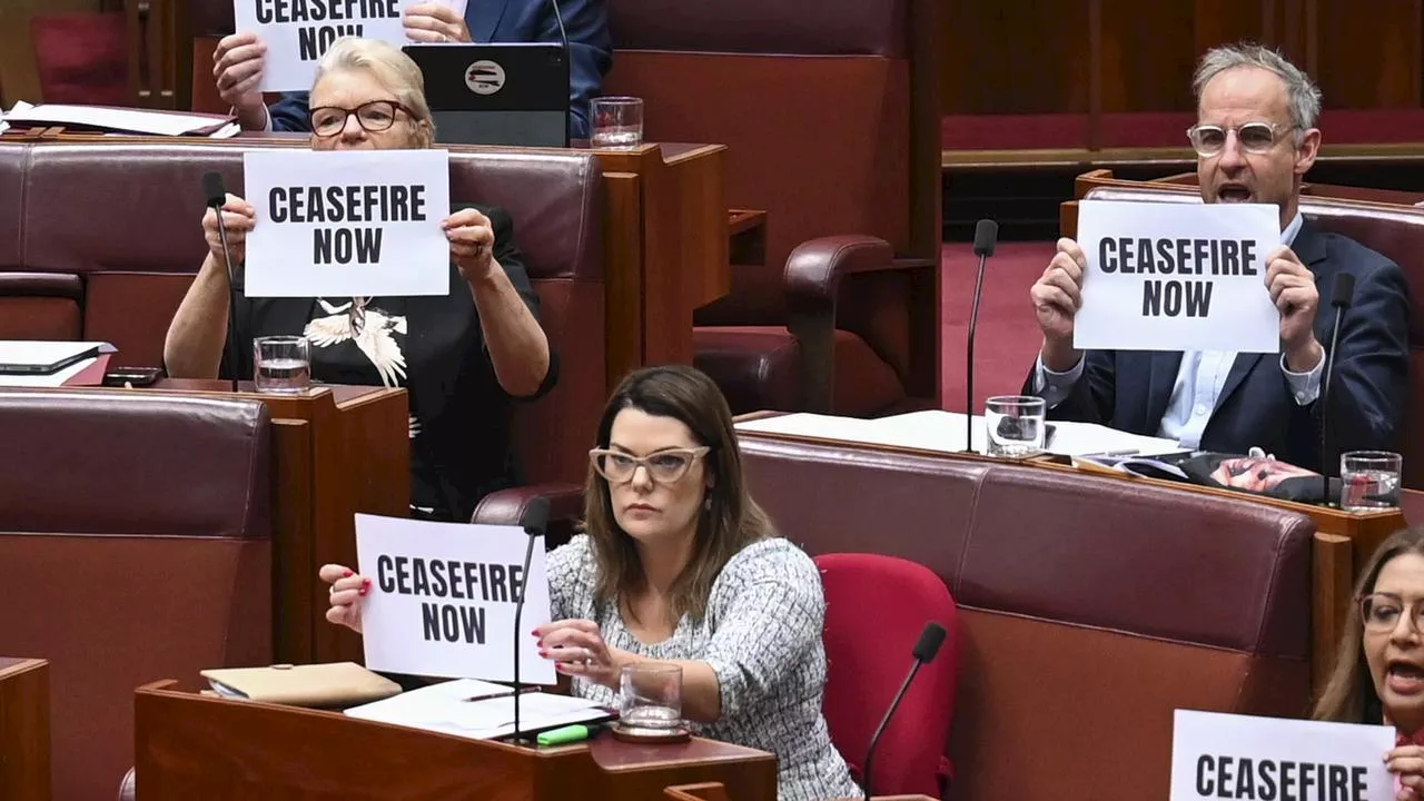 Chaos as Greens stage second Gaza protest