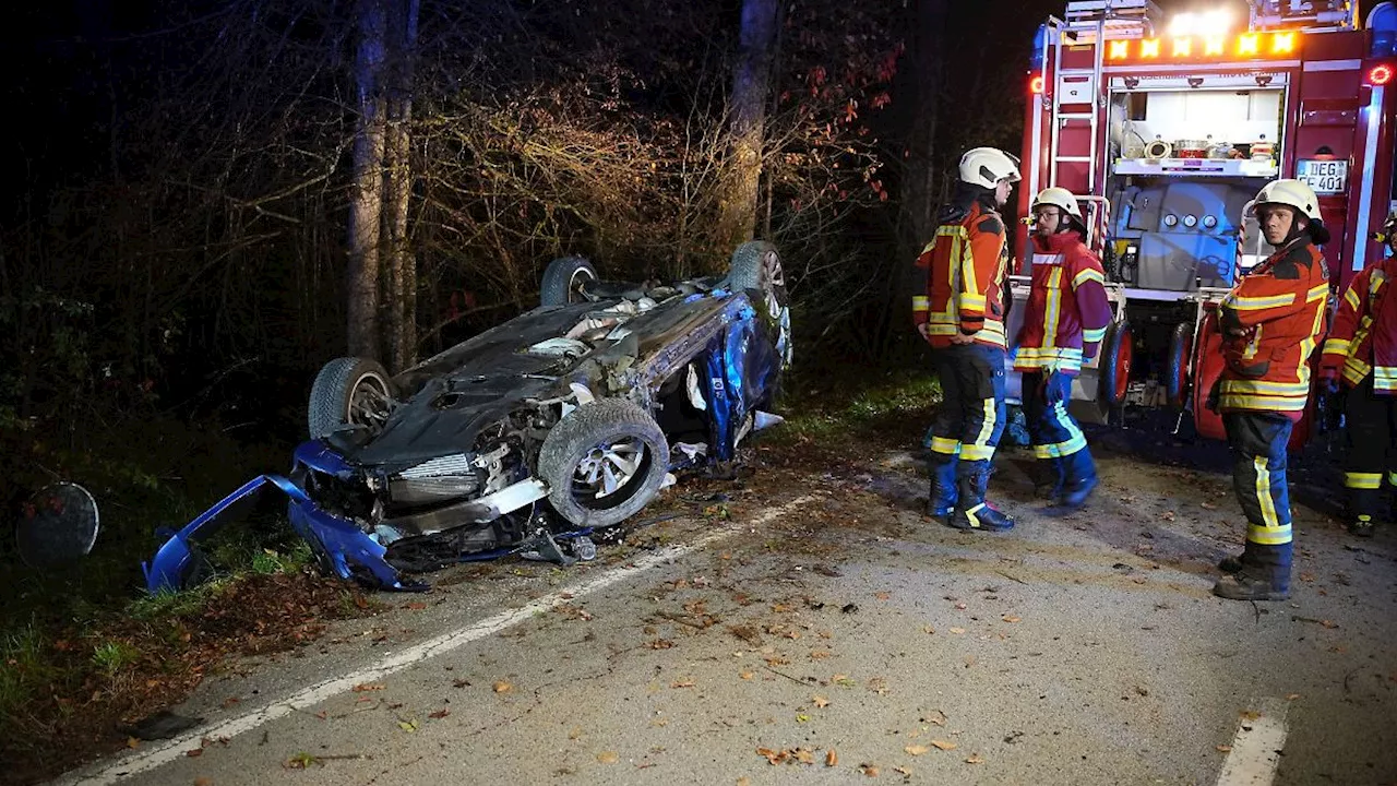 Bayern: Reh auf Straße: 16 Jahre alter Beifahrer stirbt bei Unfall