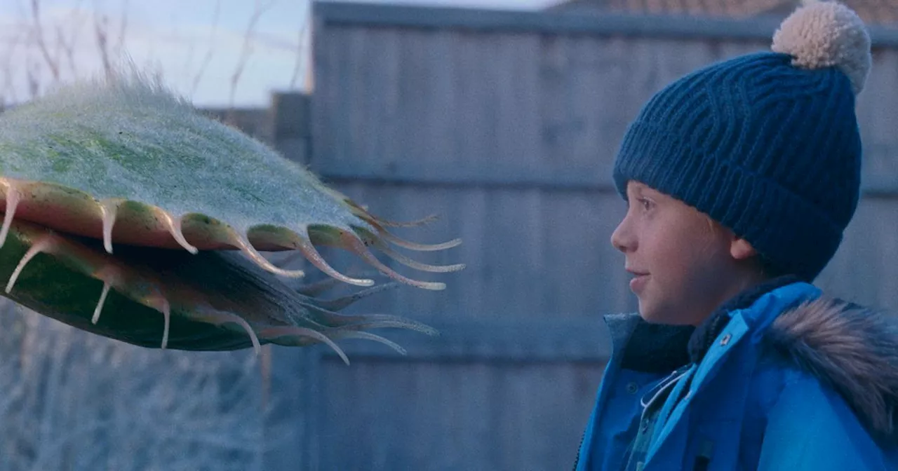 John Lewis Christmas advert sees Venus flytrap cause mischief for young boy