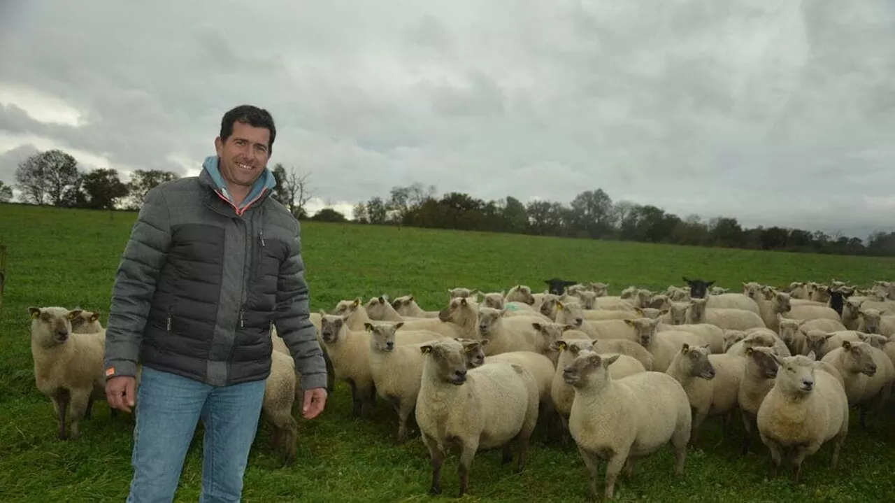 Sur près de 40 hectares, il porte le plus grand projet d’agrivoltaïsme des Deux-Sèvres