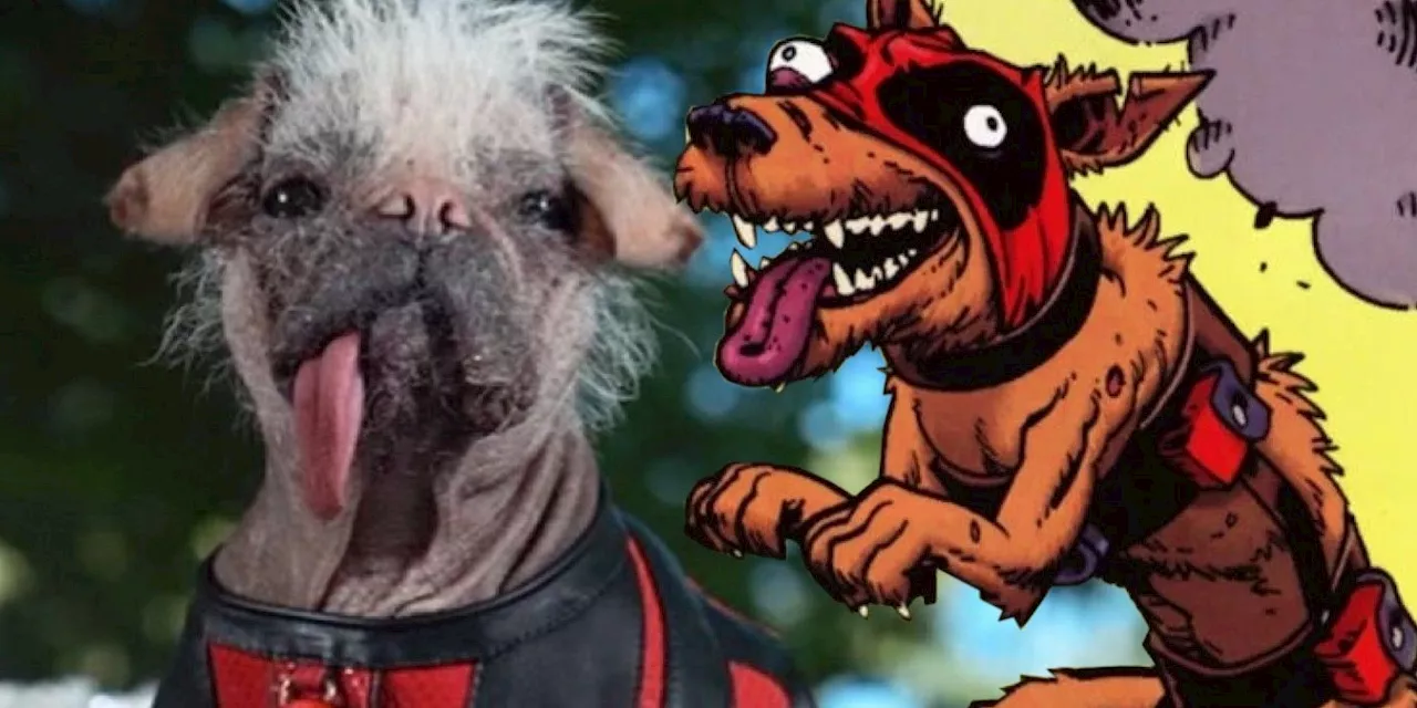 Deadpool 3's Dogpool Confirmed, Ryan Reynolds Shares First Look At The Weirdest Cast Member