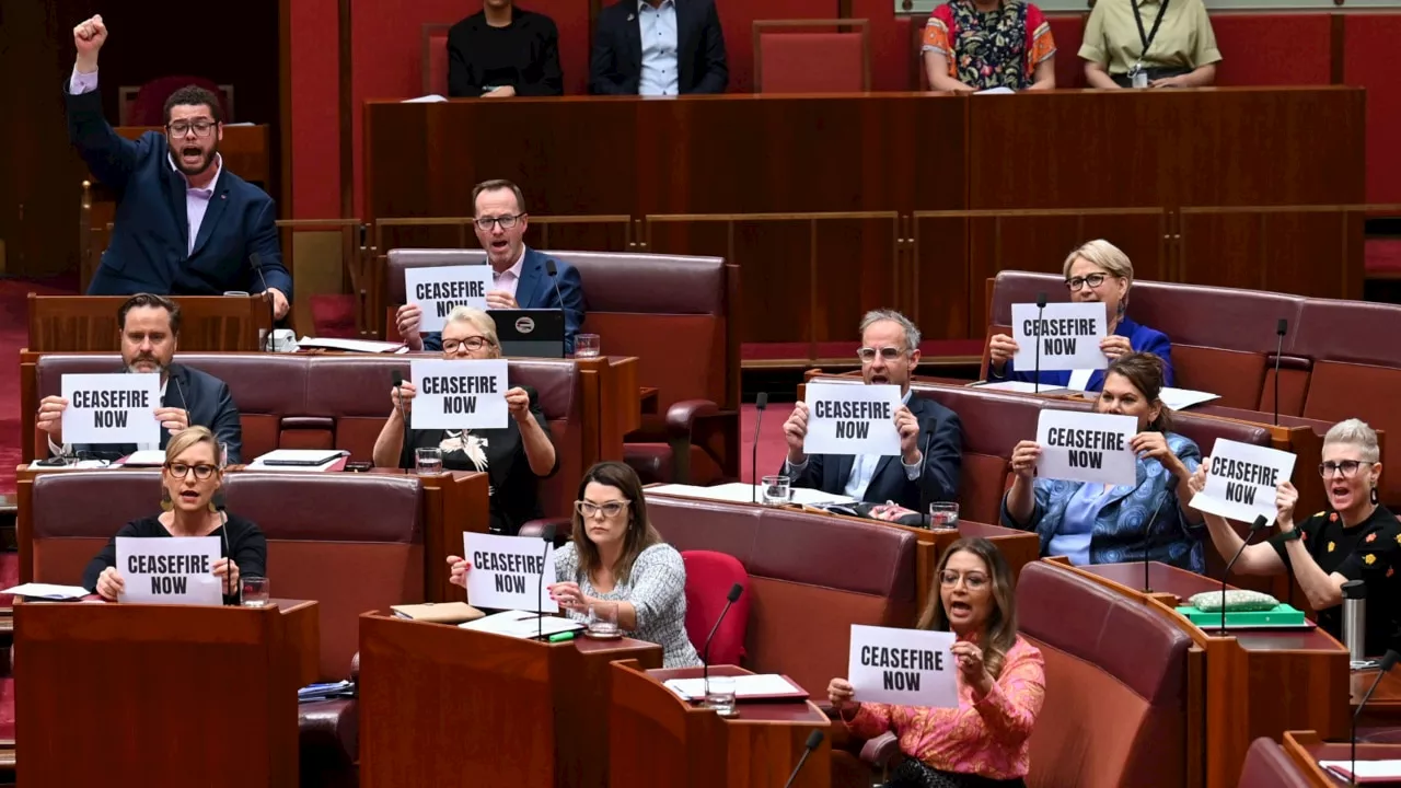 Nationals Deputy leader blasts Greens ‘cheap stunt’ in Senate protest over Israel-Hamas conflict