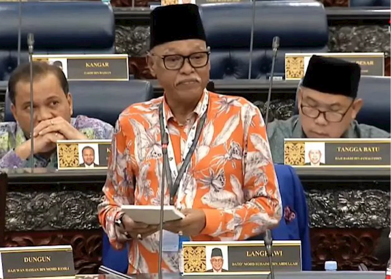 Langkawi MP says sorry for 'wear nothing' comment