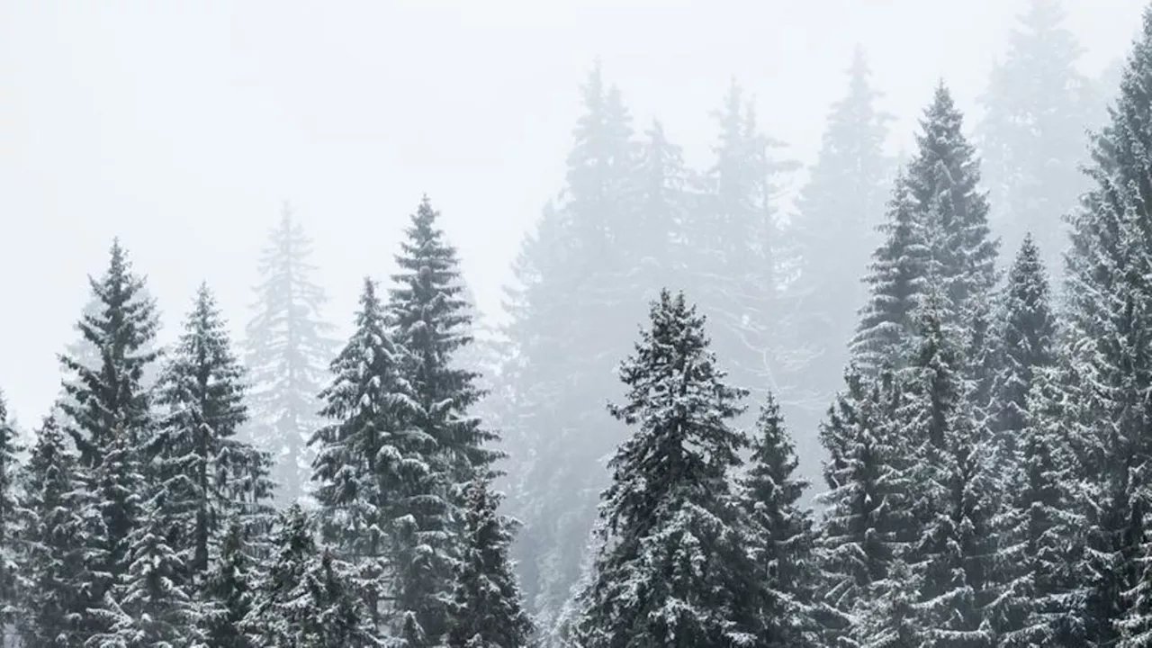 Wetter: Schnee auf der Höhe, Schmuddelwetter im Tal