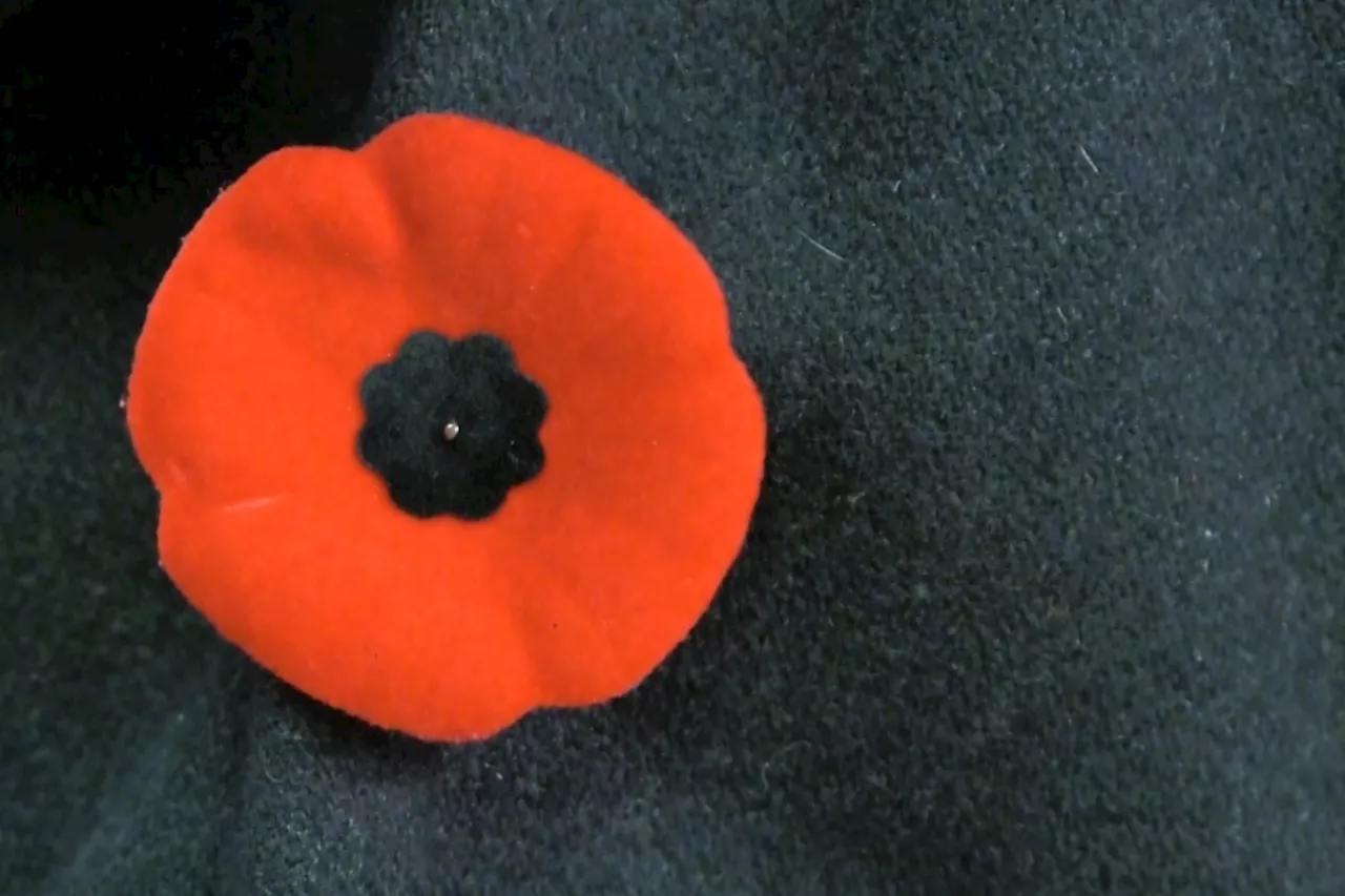 Remembrance Day ceremonies held across the city Nov. 11