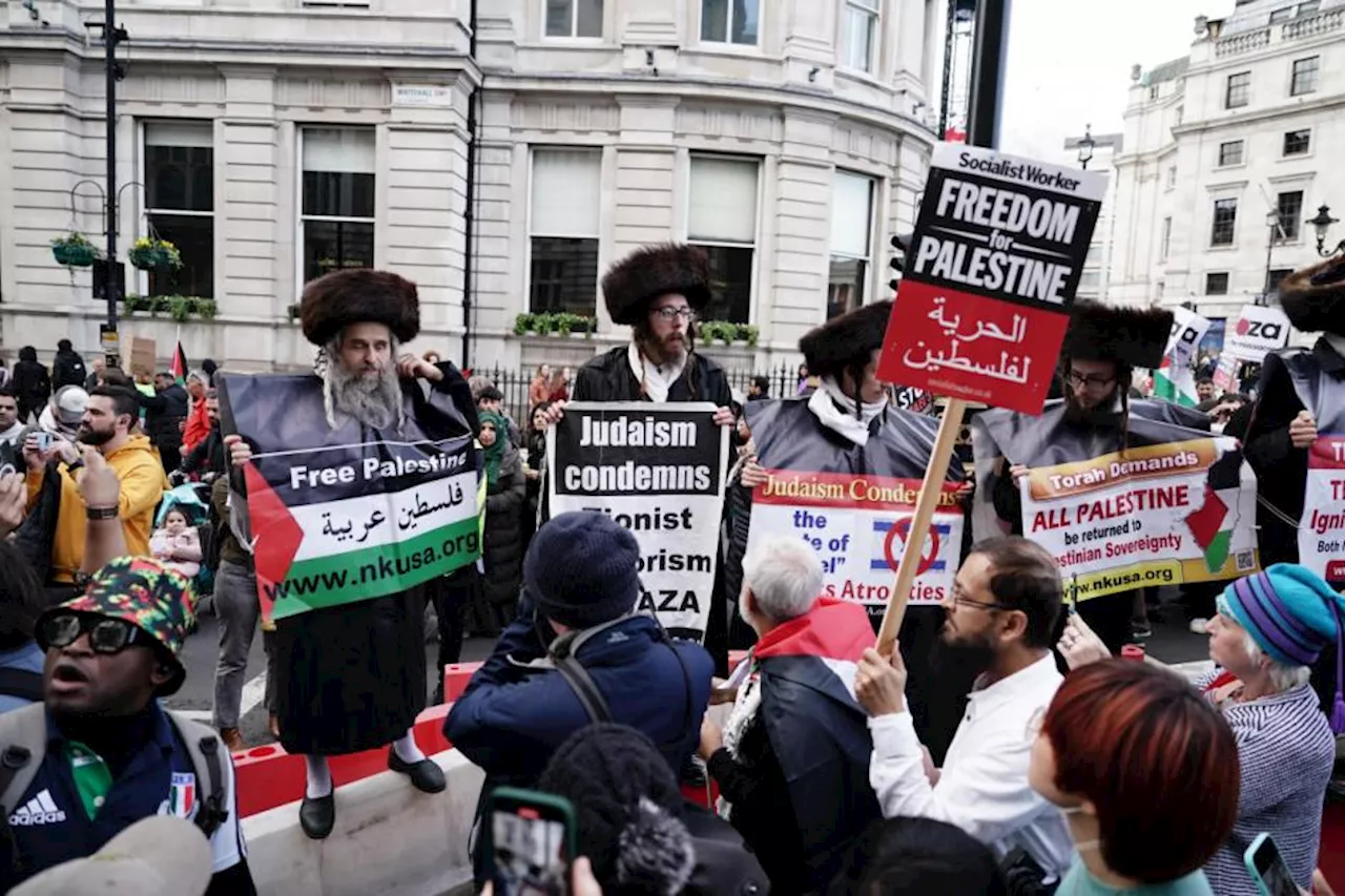 Poll: Banning Armistice Day Palestine march 'backed by 50% of Brits'