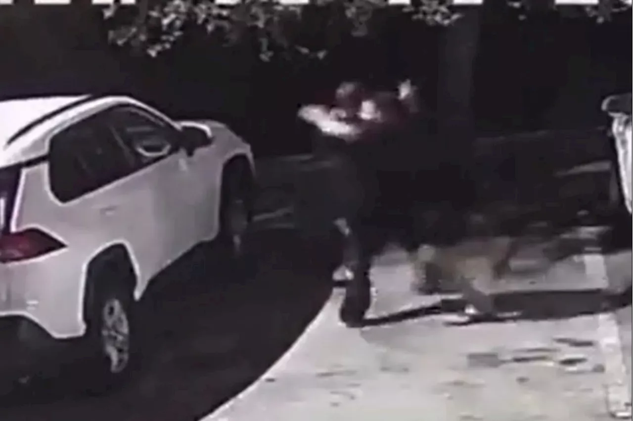 Ex-MMA fighter chokes out knife-wielding attacker in terrifying footage...