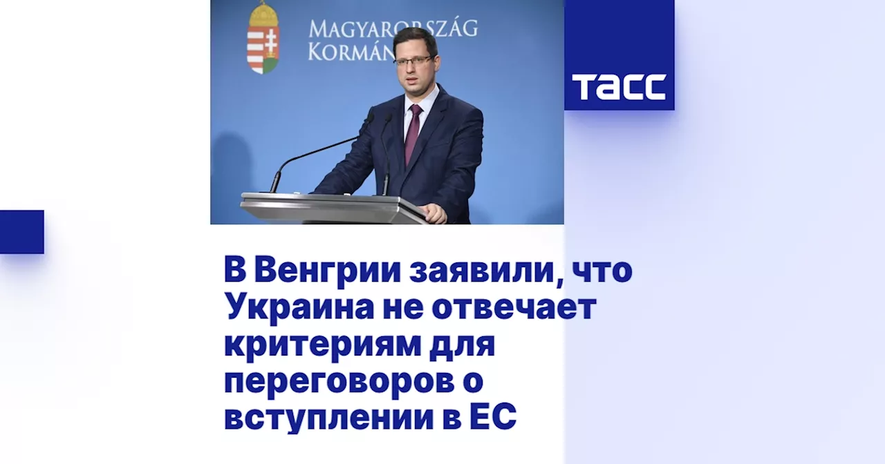 В Венгрии заявили, что Украина не отвечает критериям для переговоров о вступлении в ЕС