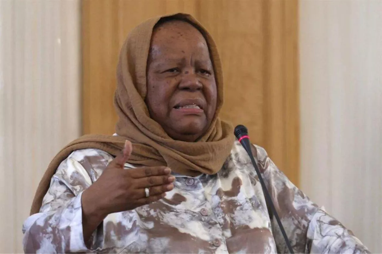 Pandor demands ICC action on Gaza civilians’ killings