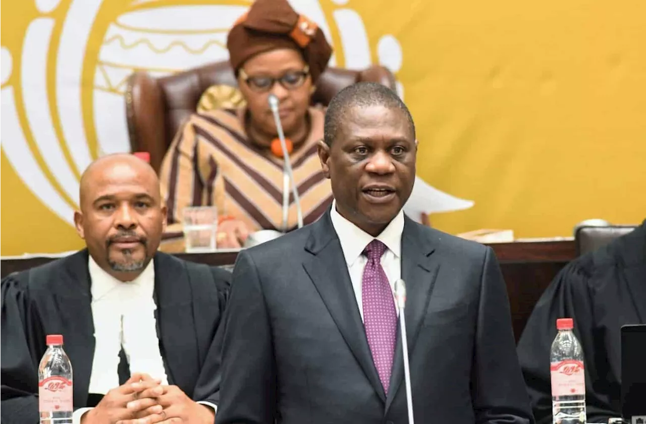 SAPS has ‘comprehensive plan’ to combat crime, Mashatile tells parliament