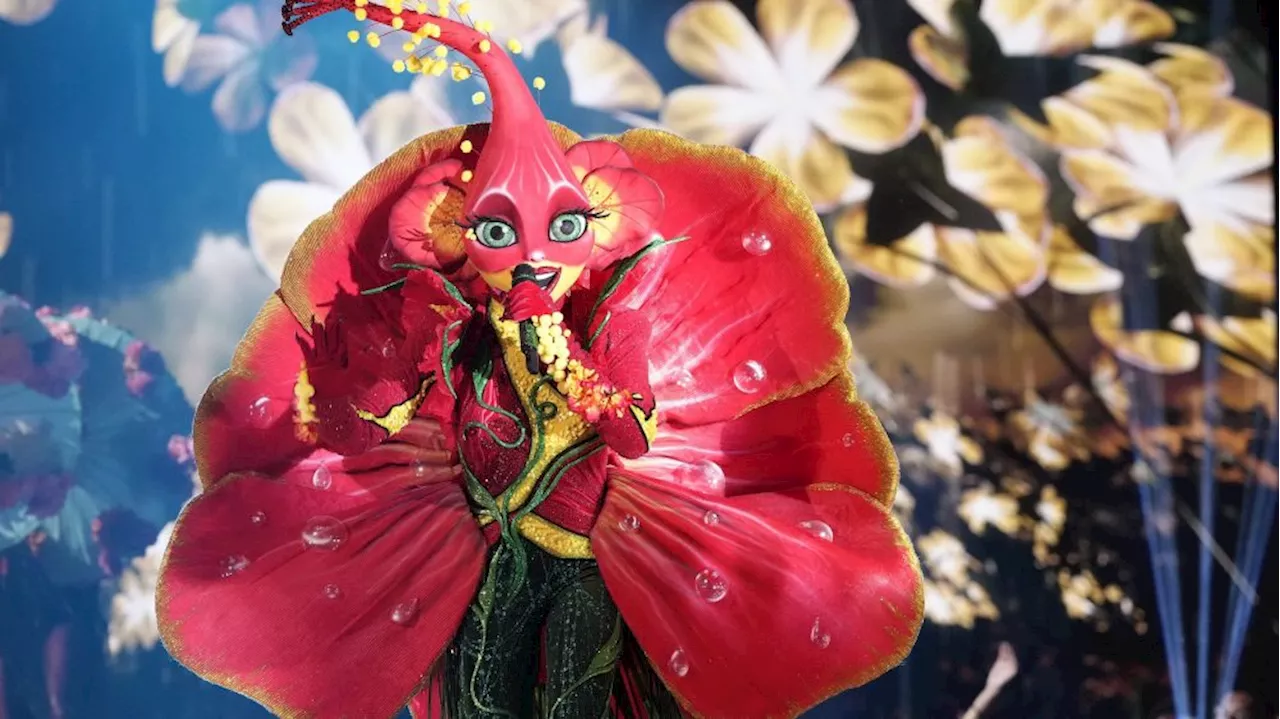 'The Masked Singer' Season 10, Episode 7 Recap: Hibiscus Is Revealed