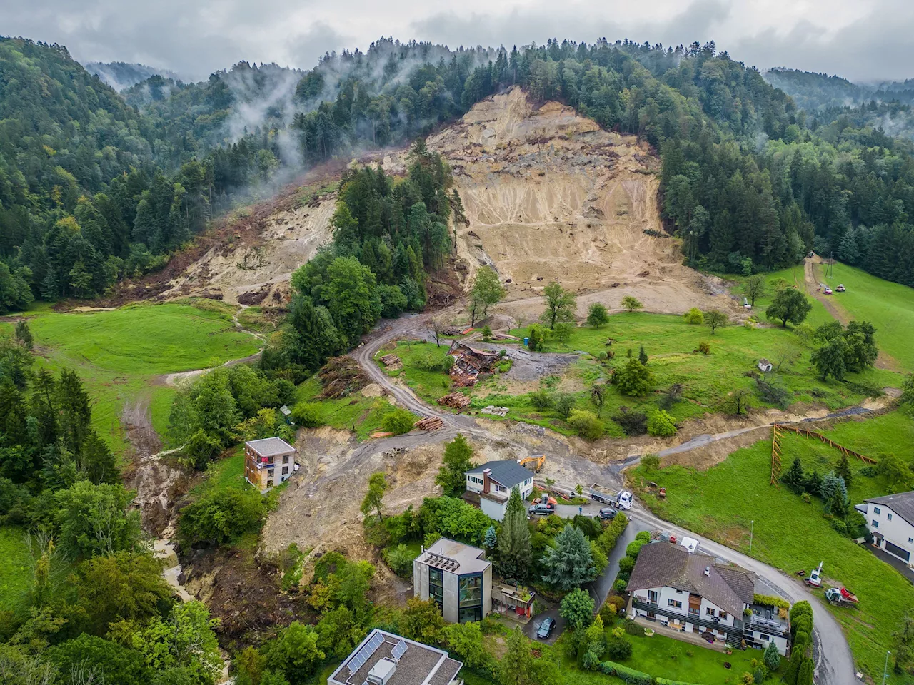 Weiterhin Bewegung im Gebiet Hochreute in Hörbranz