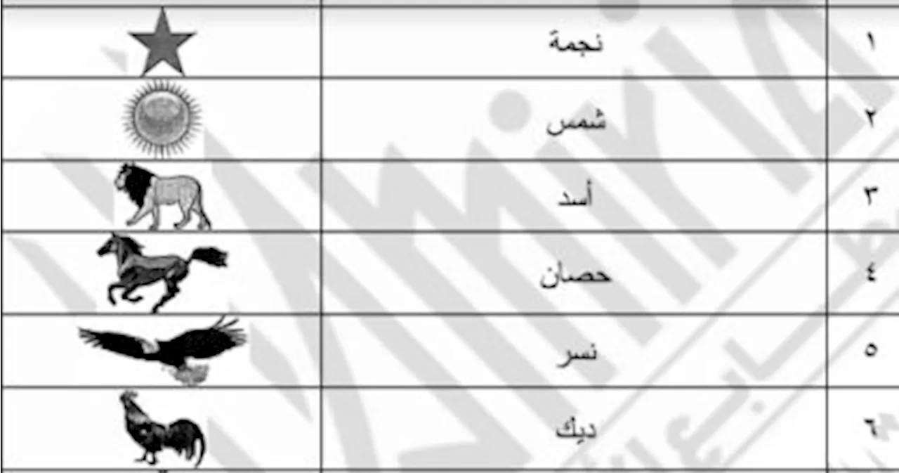 الهيئة الوطنية تعلن اليوم القائمة النهائية لمرشحى الرئاسة ورموزهم الانتخابية