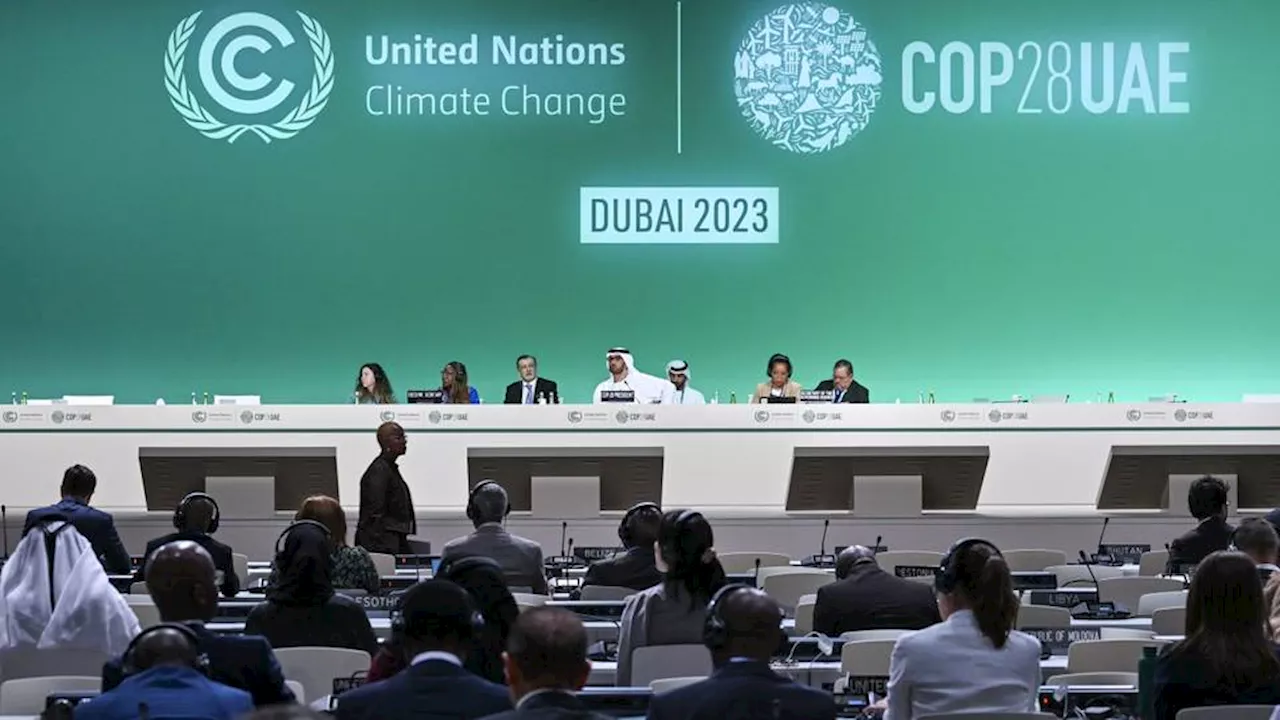 قمة 'COP28' بدبي.. مطالبات عربية بوقف إطلاق النار في غزة