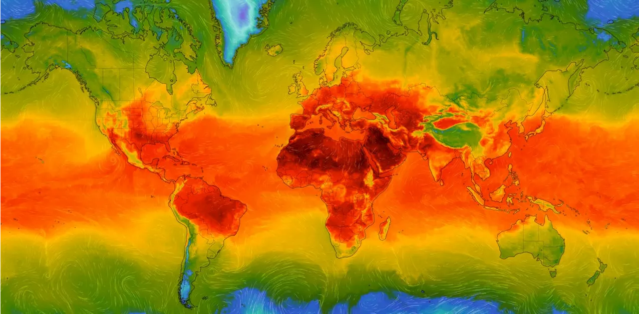 The Impact of Net Zero CO₂ Emissions on Climate Extremes