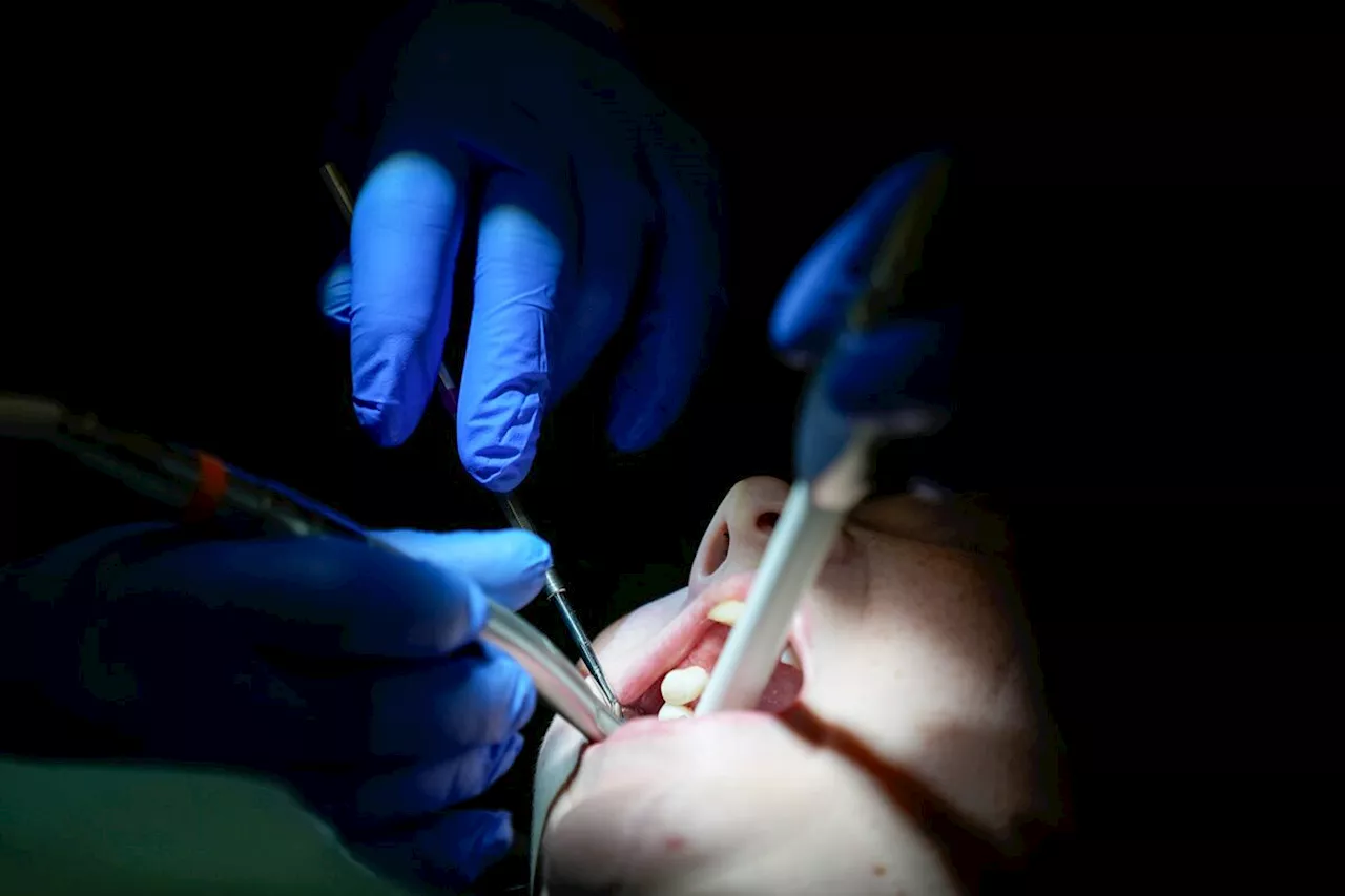 Canada to Introduce New Federal Dental Insurance Plan in 2024