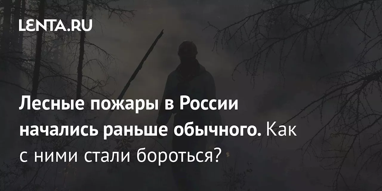 Лесные пожары в России начались раньше обычного. Как с ними стали бороться?