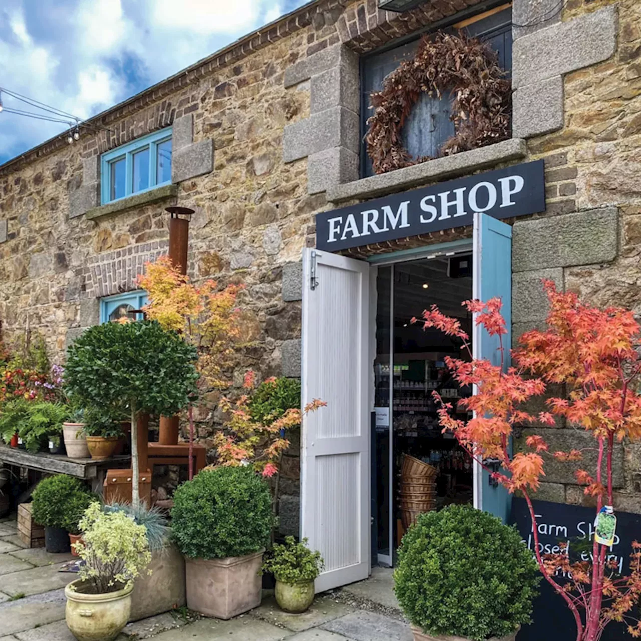 Discover the Best Food Shops in Ireland for 2023