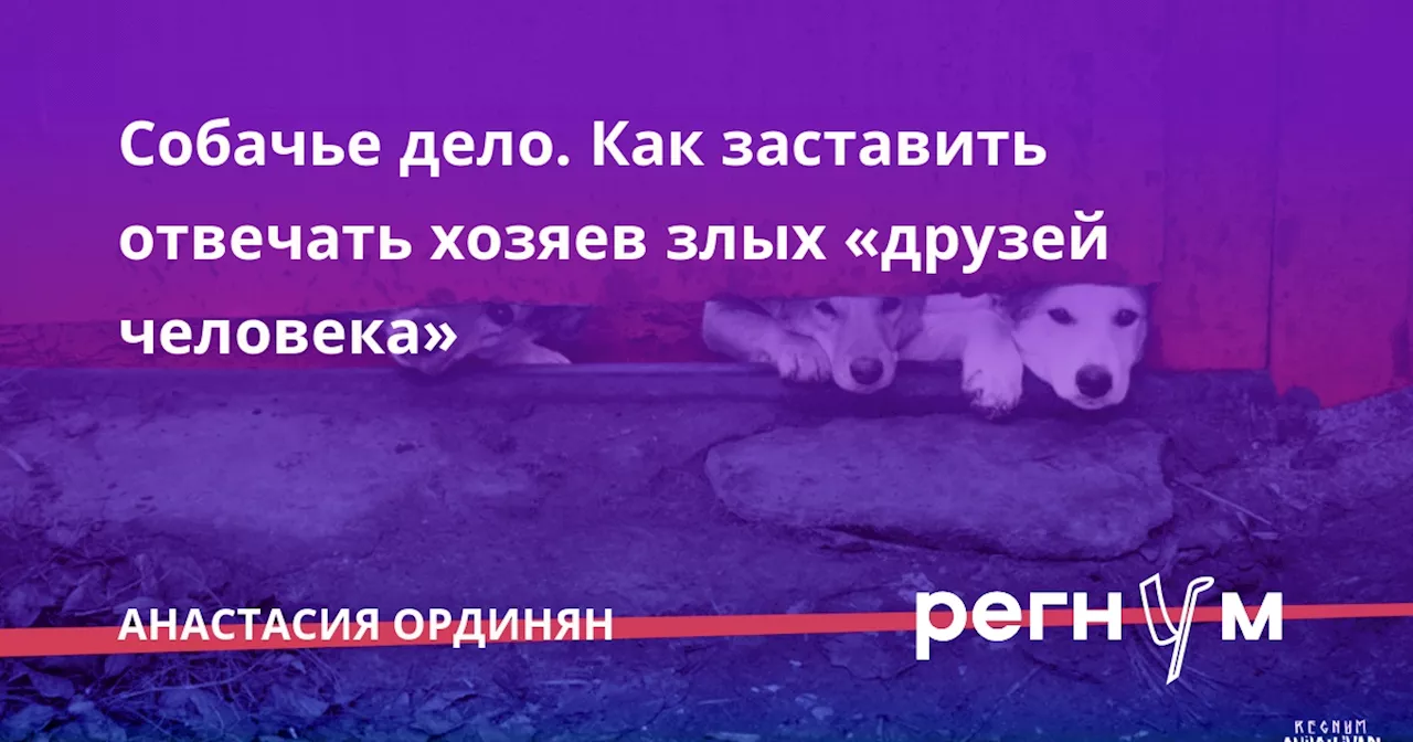 Собачье дело. Как заставить отвечать хозяев злых «друзей человека»