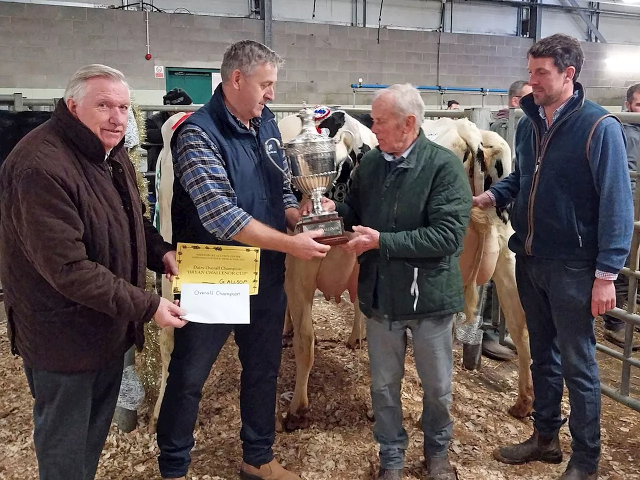 Exceptional Trade at Shrewsbury Christmas Dairy Show and Sale