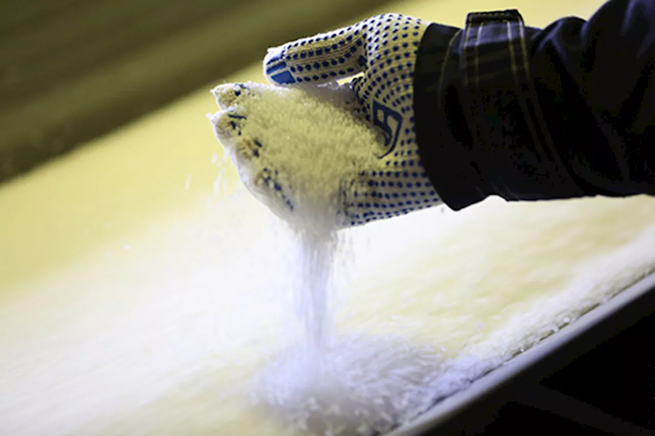 US Senators Call for Scrutiny of Fertilizer Industry Concentration