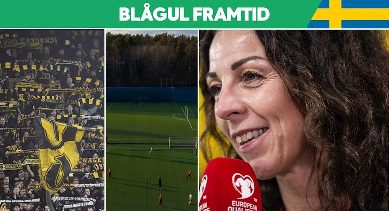 Anläggningsbrist hotar svensk fotboll