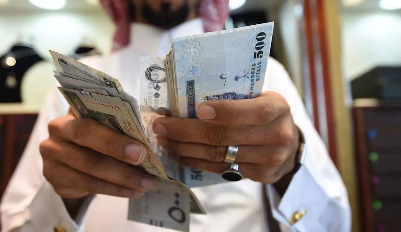 عاجل.. متوسط رواتب المواطنين في الحكومي والخاص يسجل هذا الرقم