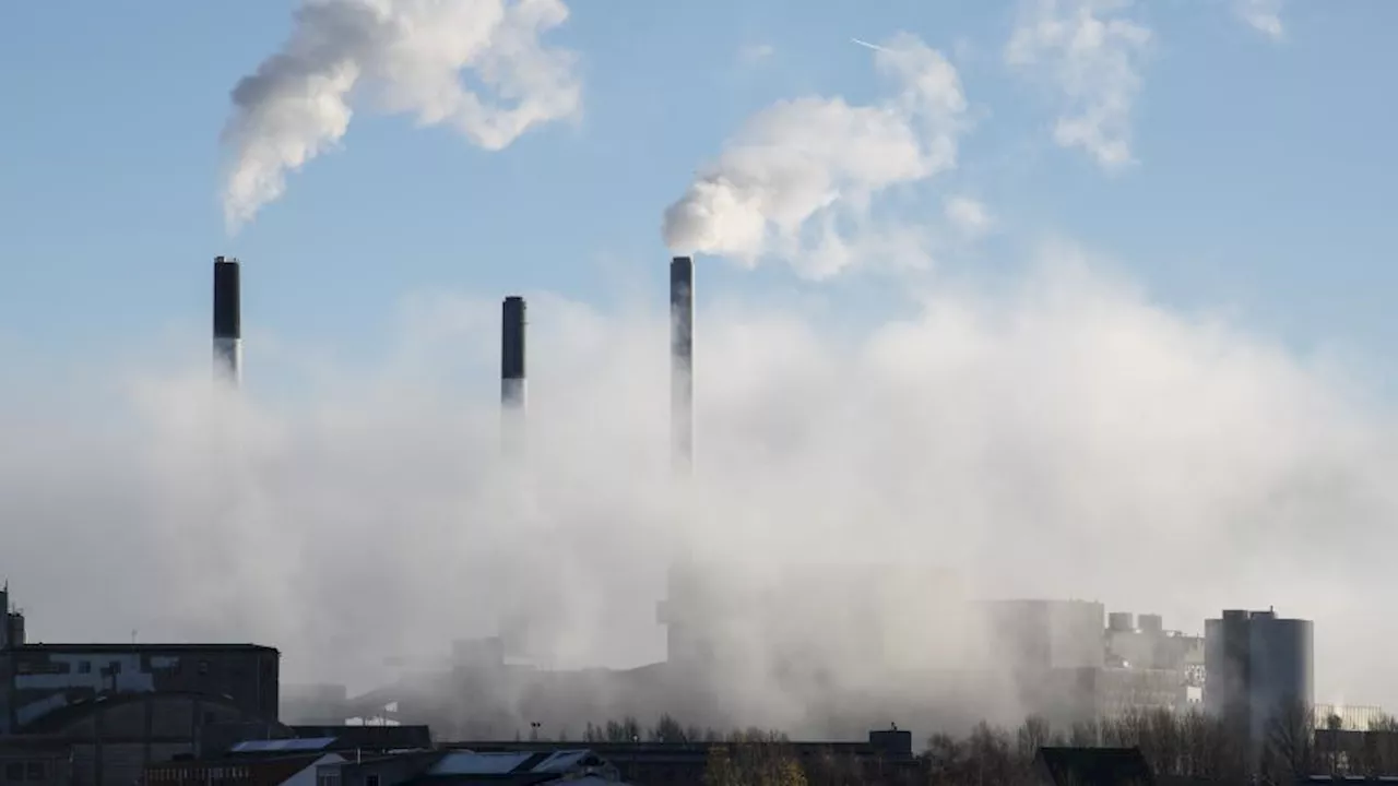 Hofor sætter prop i Amagerværket: Vil fange knap én mio. ton CO2 fra træflis