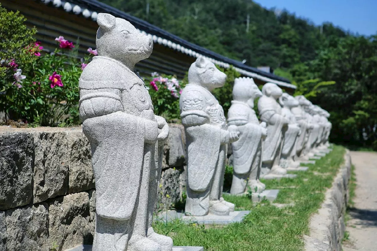 용띠는 순천, 개띠는 부산 여행 ‘강추’…나머지 띠는 어디가 좋을까 [여프라이즈]