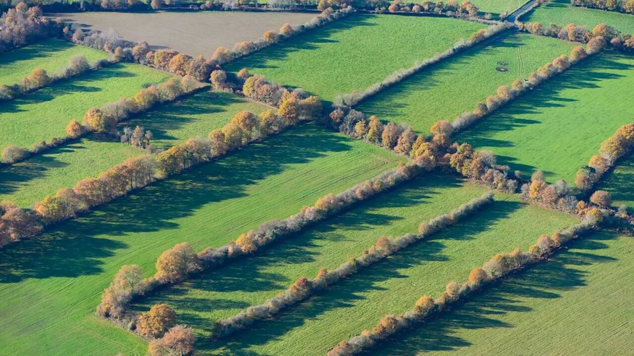 84 % des locaux couverts par la fibre en France