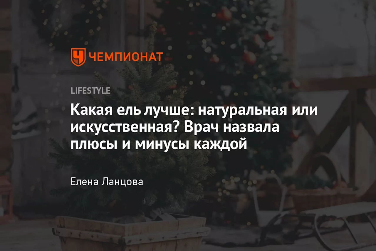 Какая ель лучше: натуральная или искусственная? Врач назвала плюсы и минусы каждой