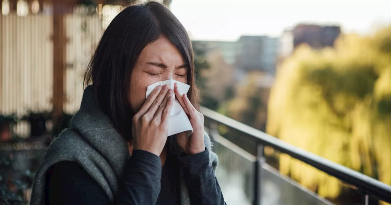 Identifying Flu Symptoms Amidst Multiple Respiratory Viruses