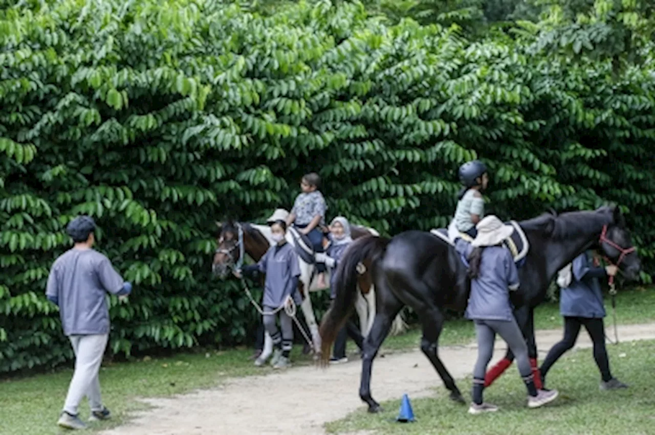 The History and Benefits of Hippotherapy