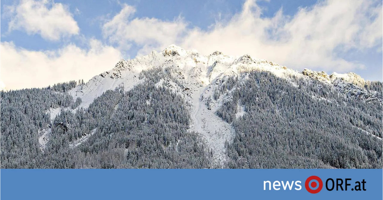 Grün zur Winterszeit: Weiße Weihnachten wieder nur für wenige