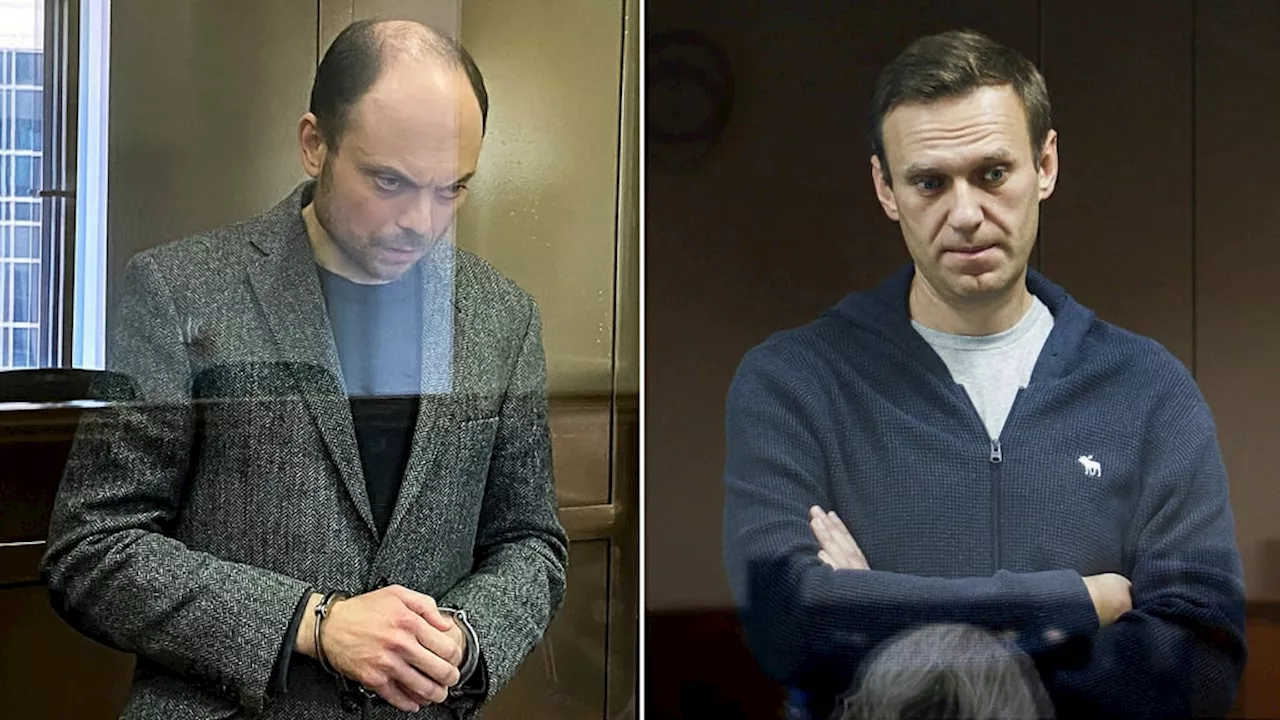 ”Putinregimen måste frige fängslade krigsmotståndare”