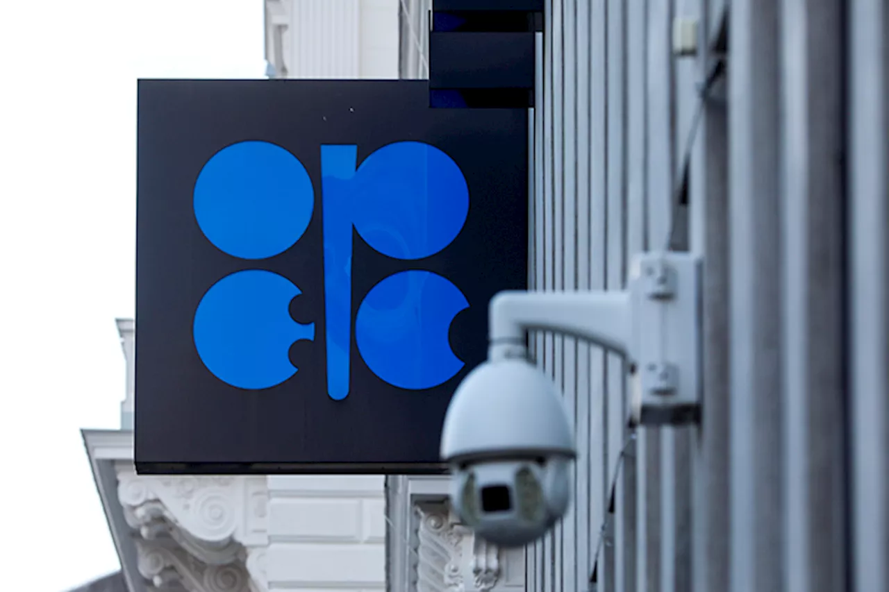 Opec to Discuss Crude Cuts as Oil Prices Fall