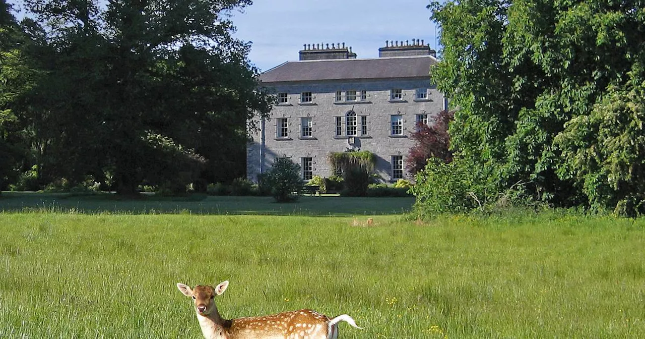 Growing up near a country house