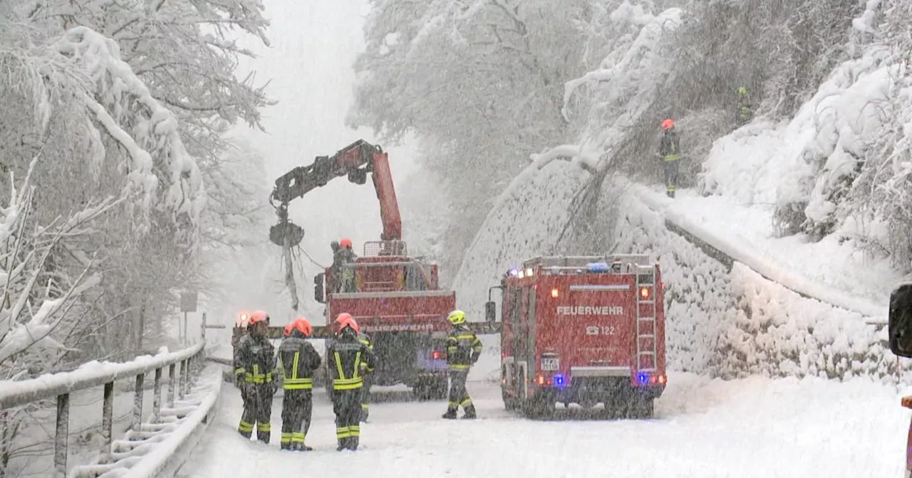 Schneefälle: A 21 gesperrt + zwei Feuerwehrleute in OÖ von Baum getroffen