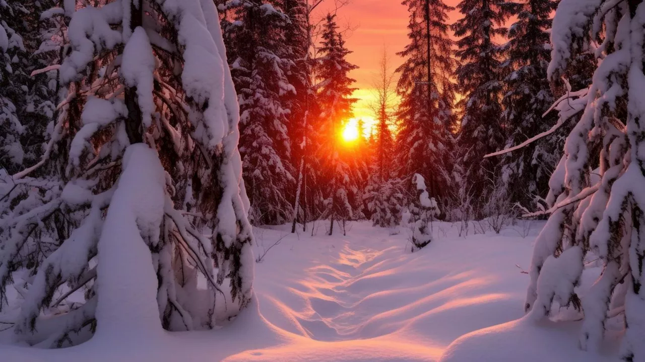 Die Wintersonnenwende: Die längste Nacht des Jahres