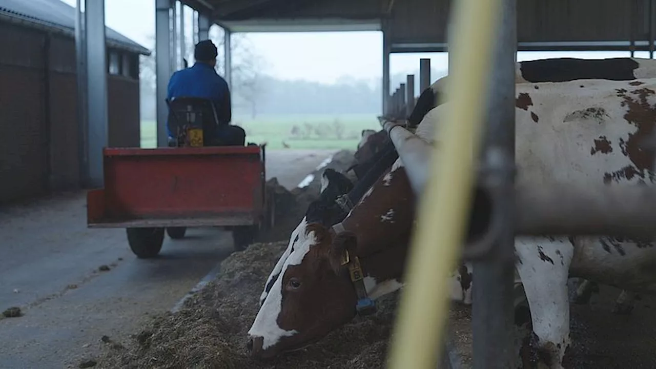 LTO-voorzitter dringt aan op betere Europese afspraken voor boeren: 'Duurzaam voedselbeleid moet vooropstaan'