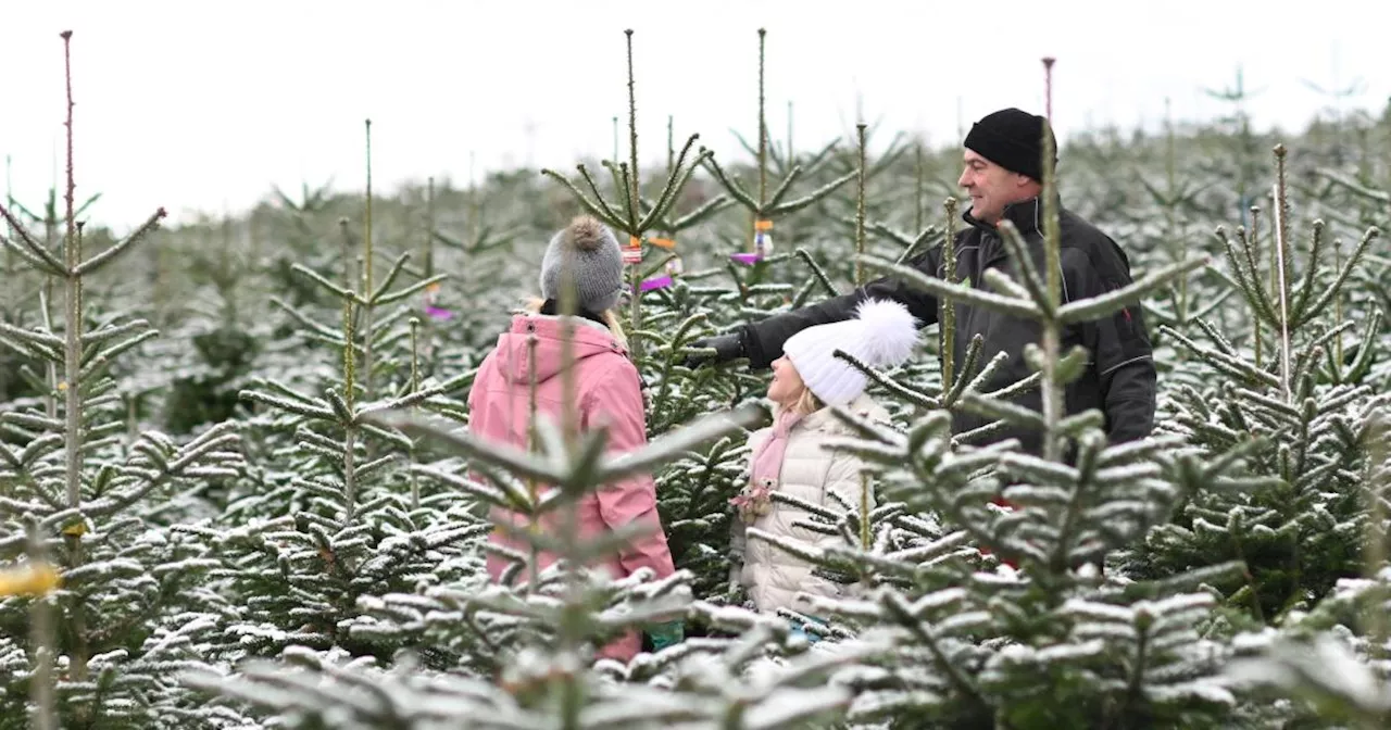 Warum ist Weihnachten so wichtig?