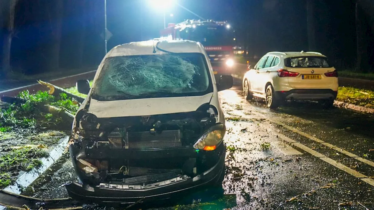 Winterstorm Pia bereikt piek: dode in België, gewonden in Nederland